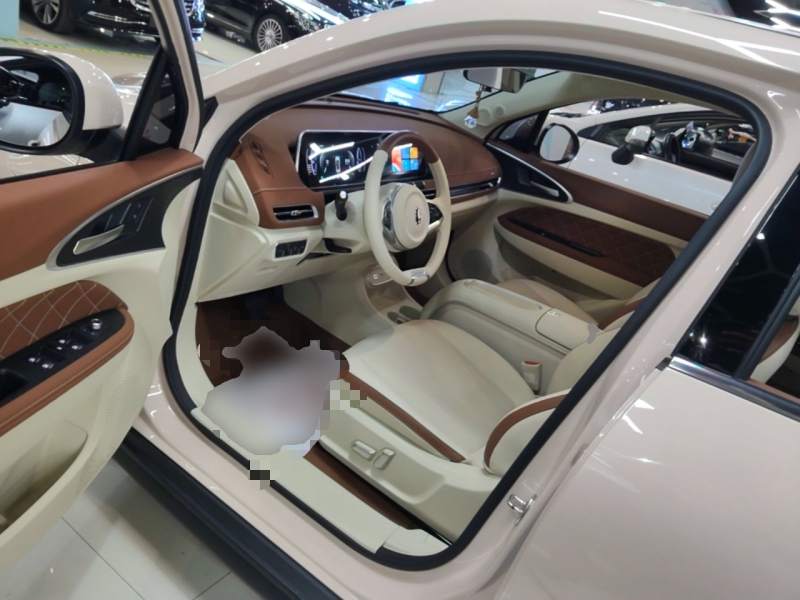 Used ORA Good Cat 2024 401 km Luxury Version 126 kW — 15
