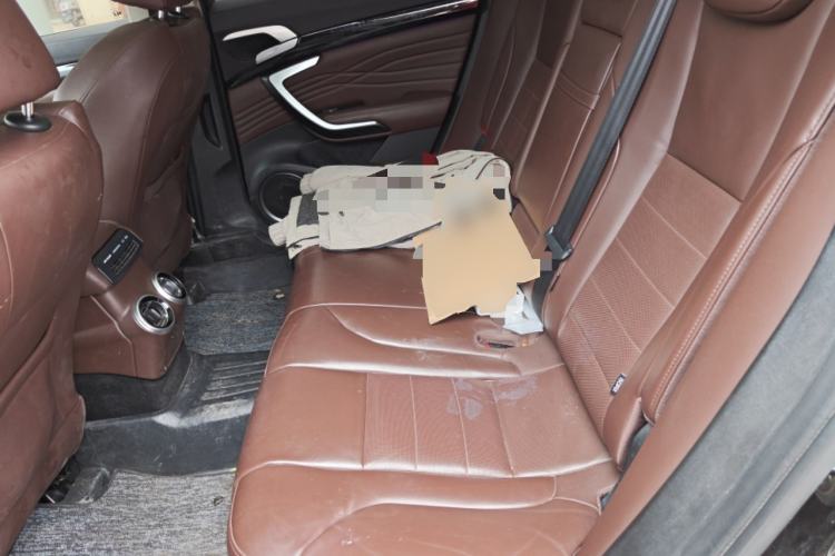 Used Wey P8 2018 2.0T Flagship Model