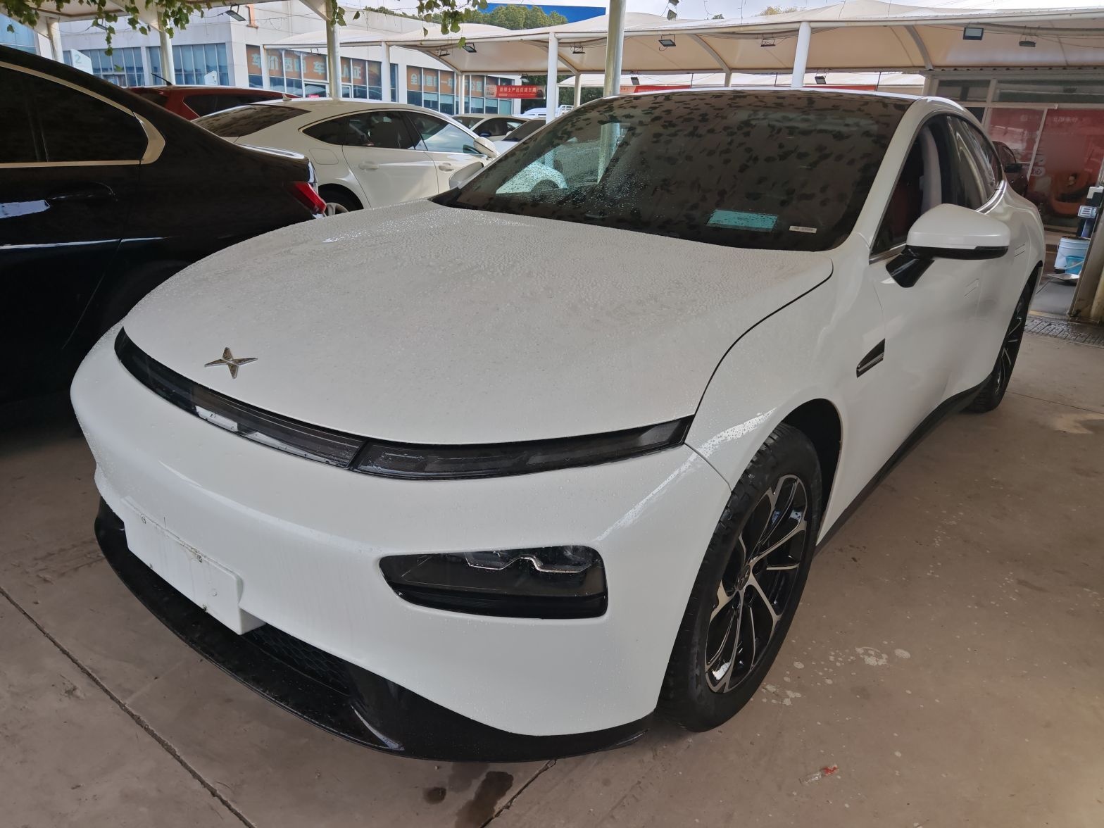 تحت مقدمة السيارة