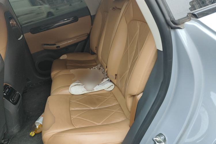 Used Leapmotor C01 2024 Pure Electric 525 Luxury Edition