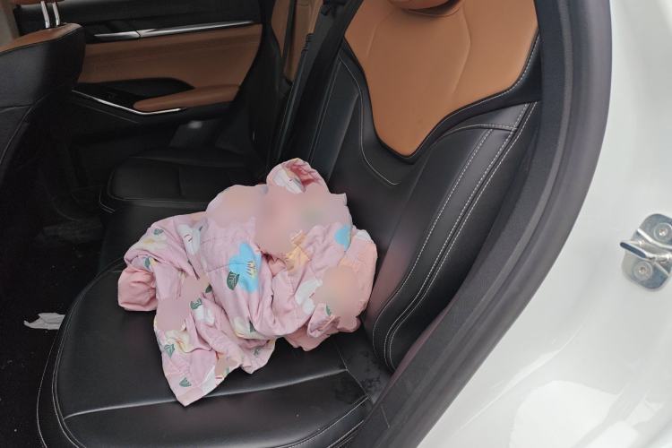 Used Haval H6 2021 3rd Generation 1.5T Automatic Two-Wheel Drive Pro
