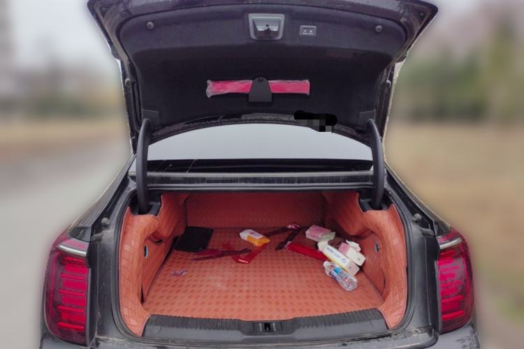 Used Hongqi H9 2024 2.0T Qixiang Private Style Edition