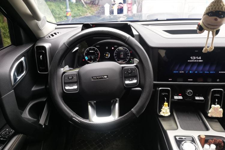 Used Haval DARGO 2024 2.0T DCT Chinese Rural Dog Edition