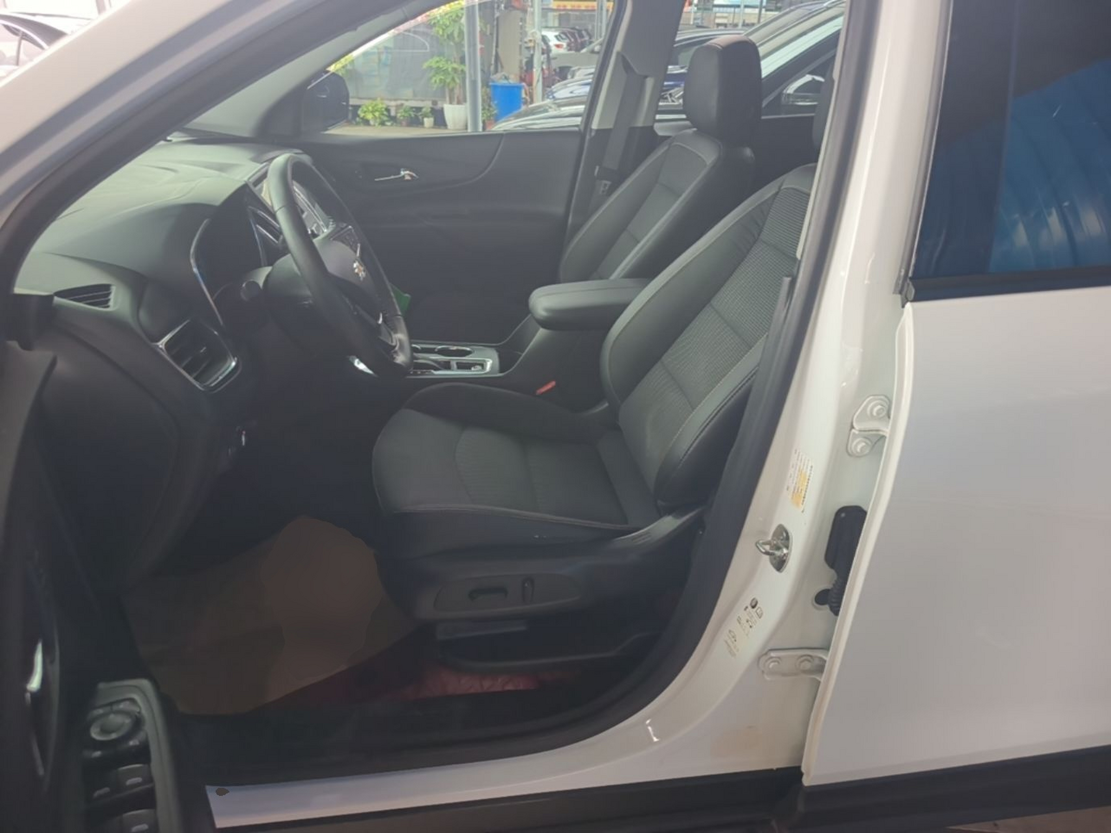 Interior delantero