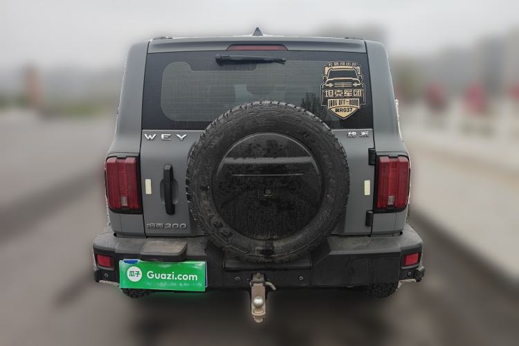 Used Tank 300 2021 Off-Road Edition 2.0T Conqueror Rear