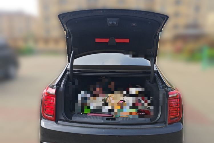 Used Hongqi H9 2020 2.0T Smart Connect Flagship Edition Trunk