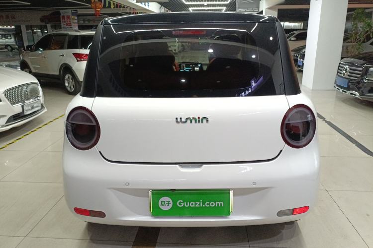 Used Qiyuan Lumin 2023 205km Xiangqin Version
