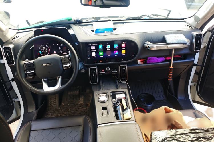 Used Haval DARGO 2024 2.0T DCT Chinese Rural Dog Edition