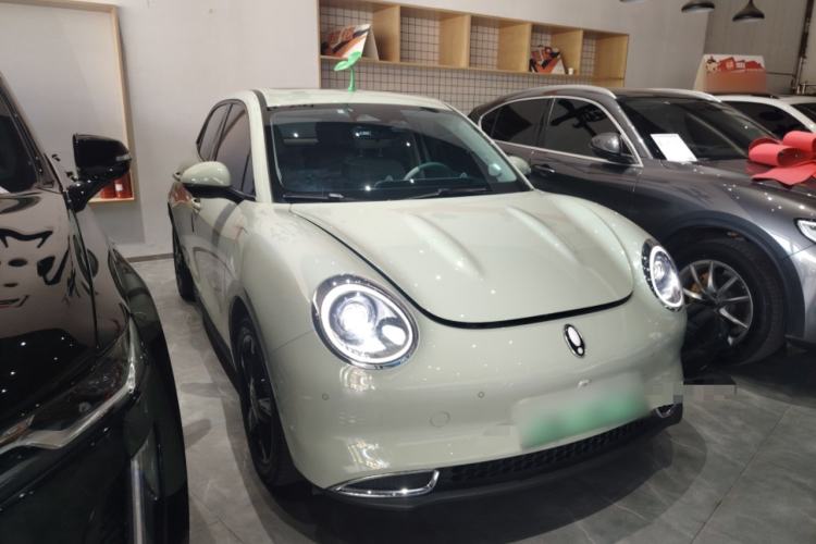 Used ORA Good Cat 2024 401 km Range Luxury Version 135 kW
