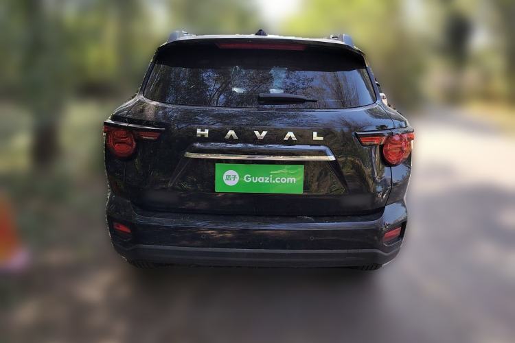 Used Haval H Dog 2023 2.0T Two-Wheel Drive Chaoye Version Plus