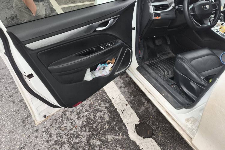 Used Geely Auto Emgrand New Energy 2019 EV500 Ambition Standard Range Edition
