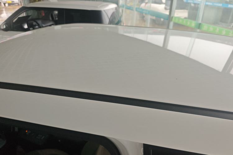 Used Qiyuan Lumin 2023 205km Xiangqin Version
