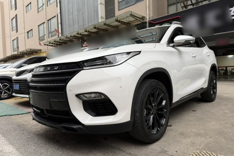 Used EXEED TX 2020 1.6T Two-Wheel Drive Star Edition