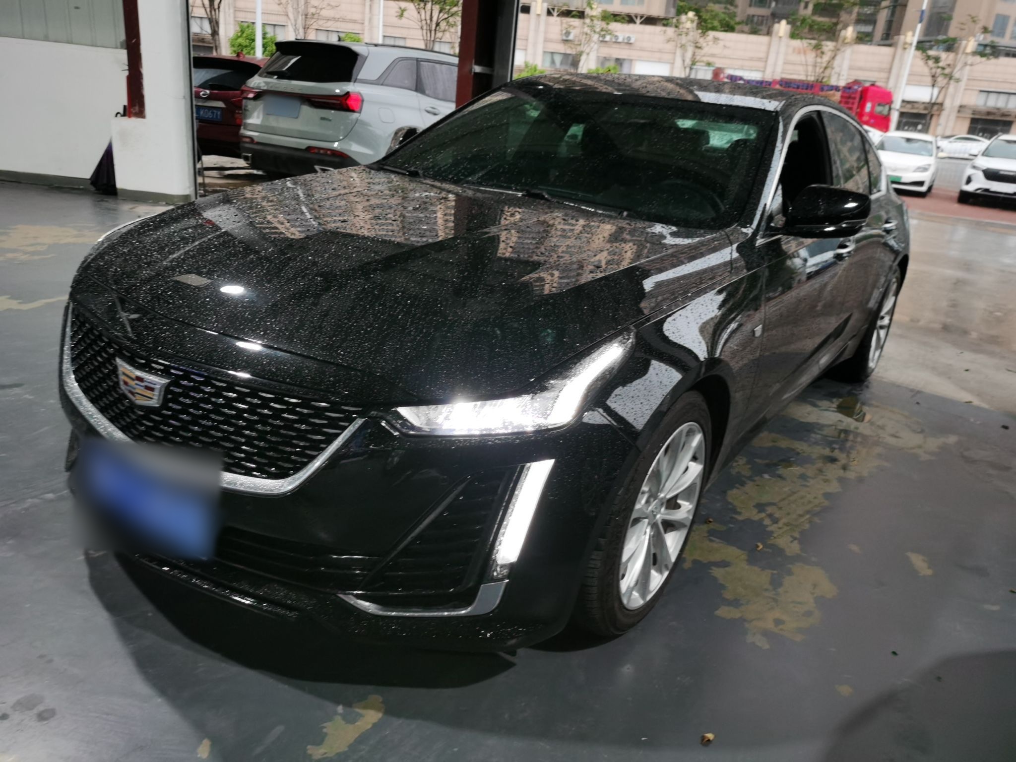 Parte inferior delantera