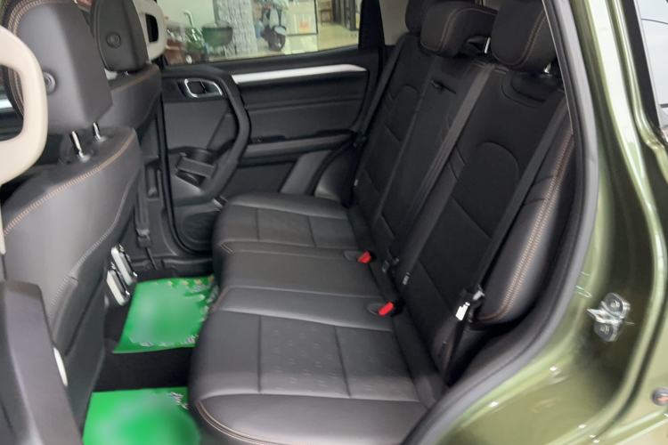 Used Haval DARGO 2021 1.5T DCT Two-Wheel Drive Border Collie Edition Left Rear Seat