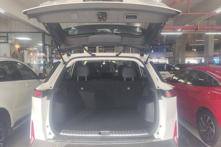 Used Venucia VX6 2024 520 Travel Edition
