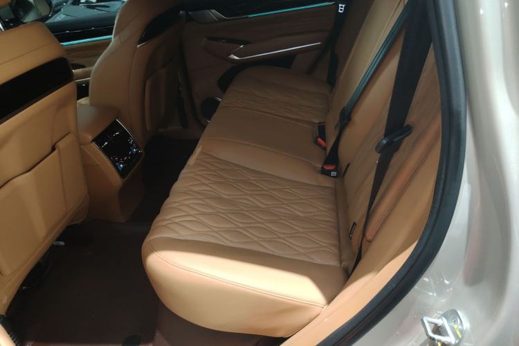 Used Tank 500 New Energy 2023 Hi4-T Left Rear Seat