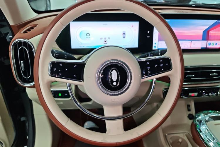 Used ORA Ballet Cat 2023 401 km Luxury Version