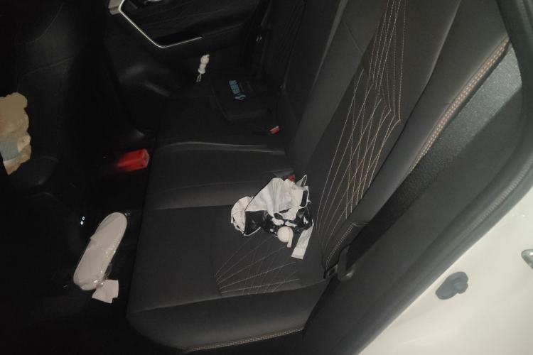 Used Toyota RAV4 2024 2.0L CVT Two-Wheel Drive Fashion Plus Edition
