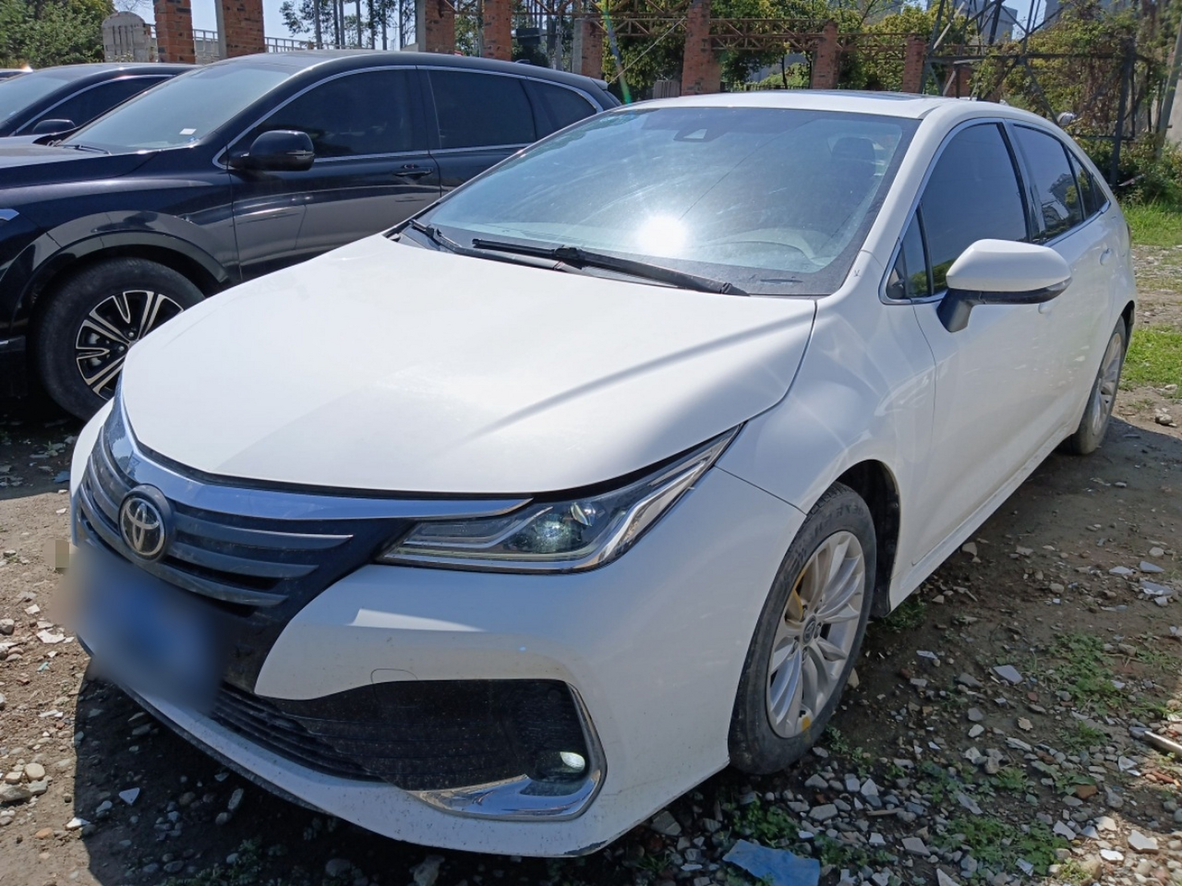 تحت مقدمة السيارة