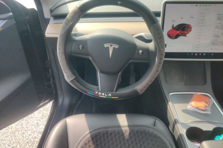 Used Tesla Model Y 2021 Standard Range Rear-Wheel Drive Version
