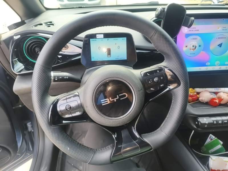Used BYD Dolphin 2024 Honor Edition 420km Freedom Version — 10