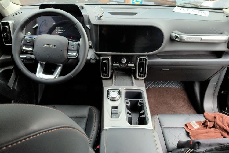 Used Haval DARGO 2024 2.0T DCT Chinese Rural Dog Edition
