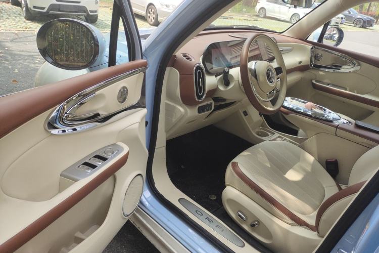 Used ORA Ballet Cat 2023 401 km Luxury Version
