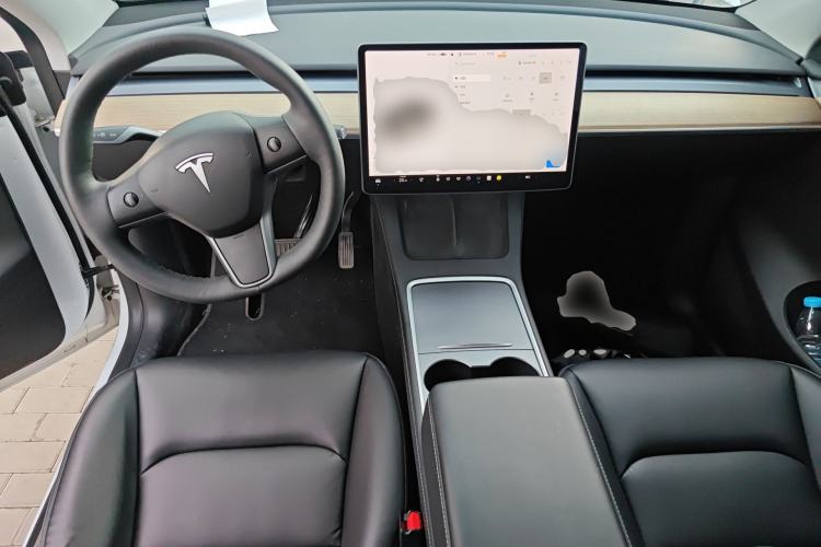 Used Tesla Model Y 2021 Standard Range Rear-Wheel Drive Version
