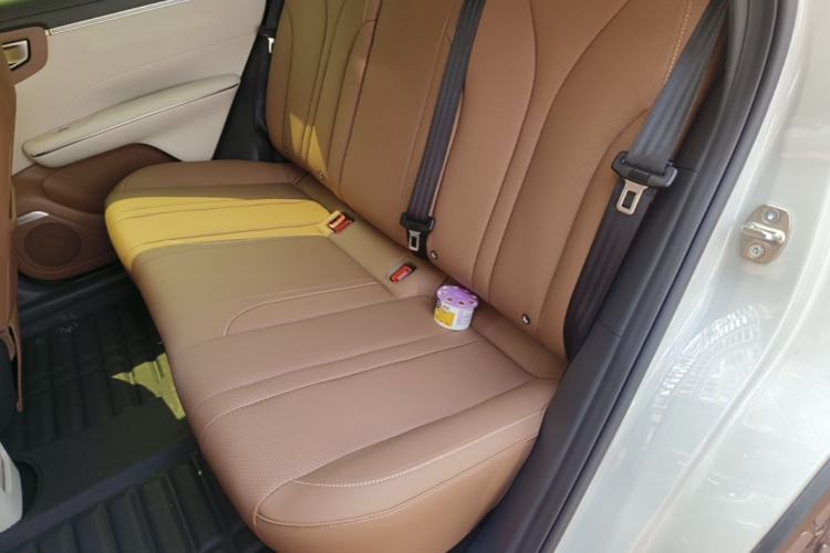 Used Wuling Bingo S 2025 Model 430km Deluxe Edition Left Rear Seat