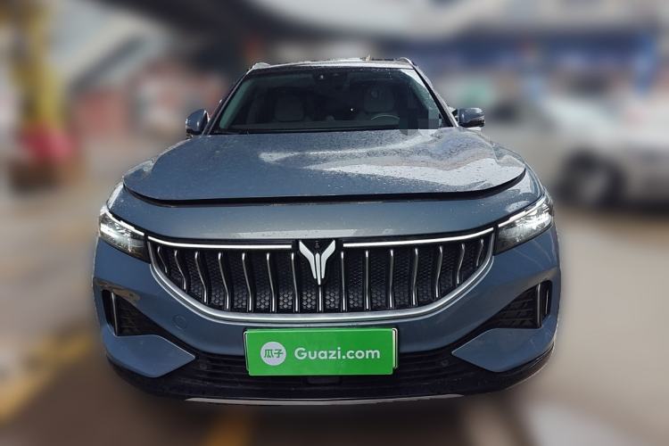 Used VOYAH FREE 2021 Two-Wheel Drive Standard Pure Electric City Edition
