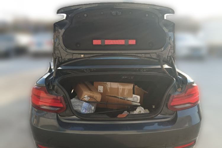 Used BMW 2 Series 2019 225i Convertible Coupe Sports Design Package