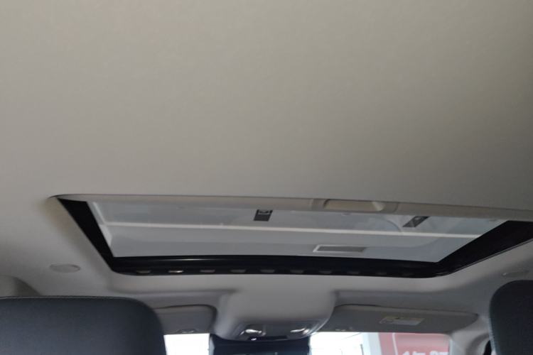 Used Tank 300 2023 City Edition 2.0T Essential Model