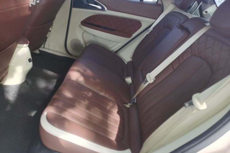 Used ORA Good Cat 2021 500km Long-Range Poseidon Edition Lithium-Ion Battery Left Rear Seat