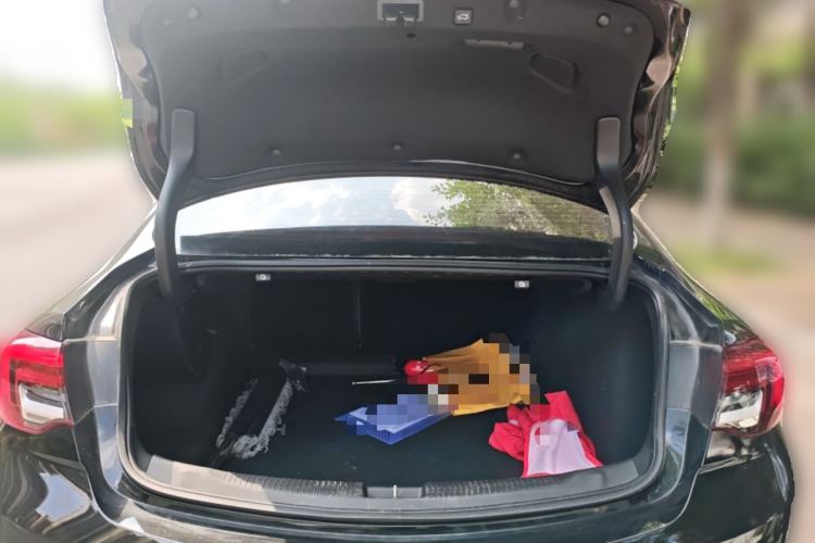 Used Buick Regal 2024 28T Luxury Edition
