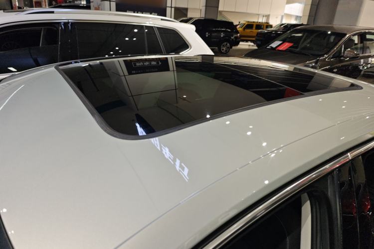 Used Volkswagen Magotan 2020 330TSI DSG Leading Model