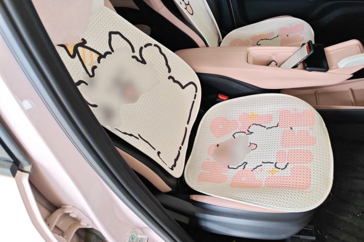 Used BYD Seagull 2025 305km Active Version