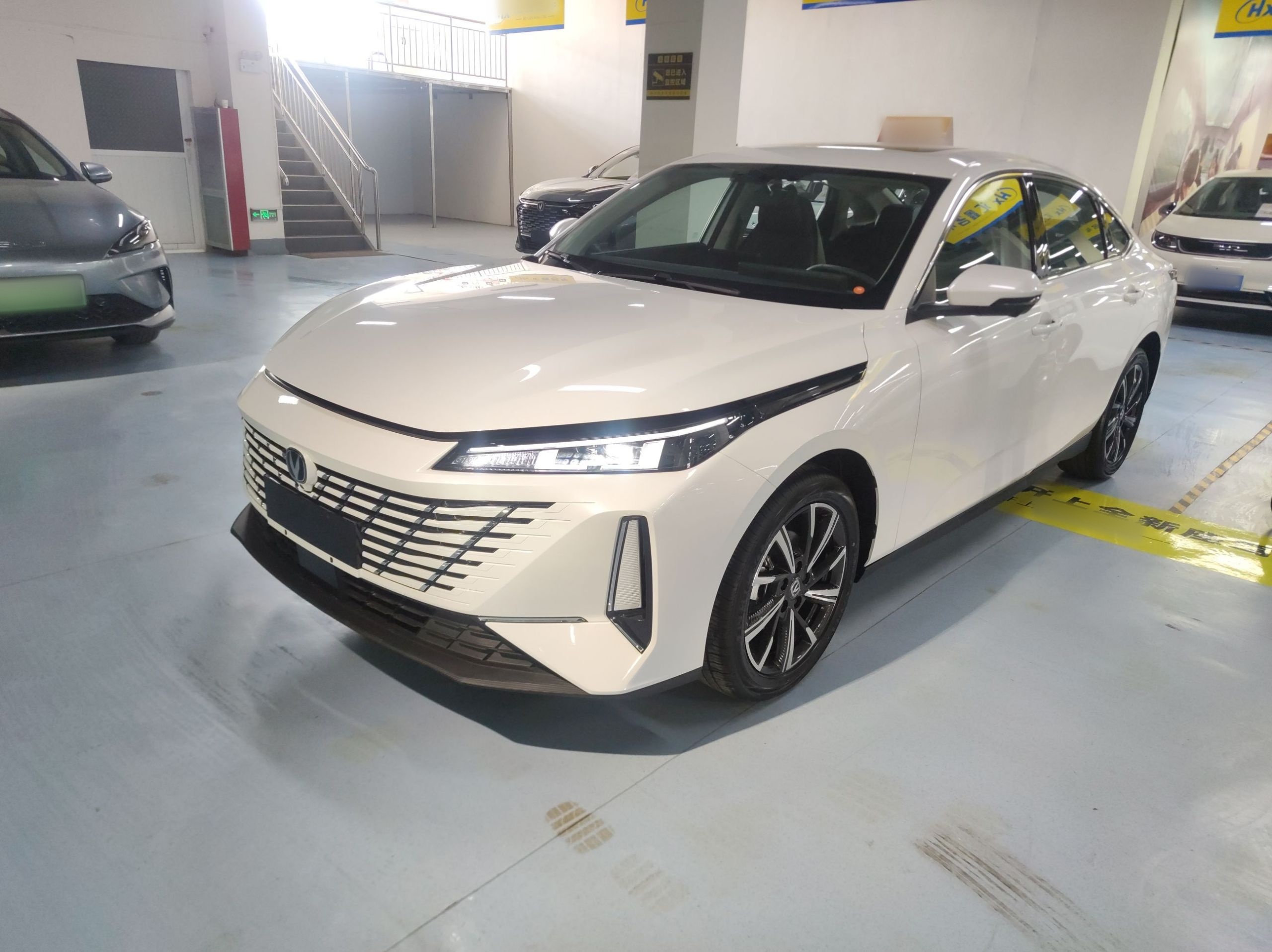 Parte inferior delantera