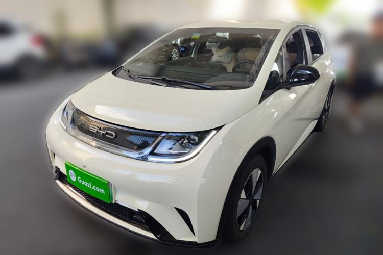 Used BYD Dolphin 2023 420 km Free Version
