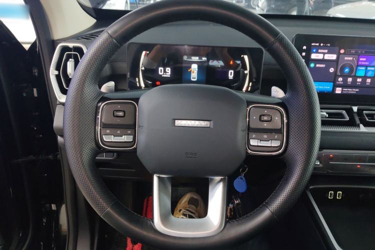 Used Haval H5 2025 2.0T Automatic All-Wheel Drive Flagship Edition Gasoline