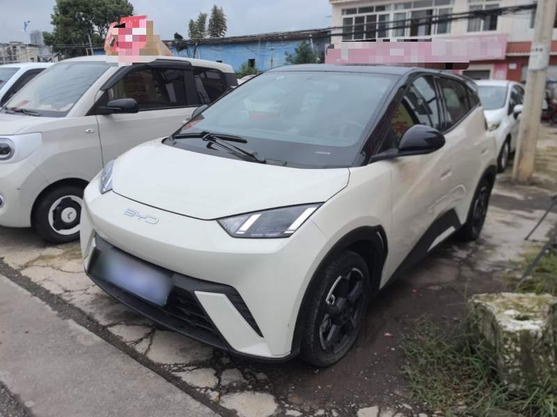 Used BYD Seagull 2023 Free Edition — 1