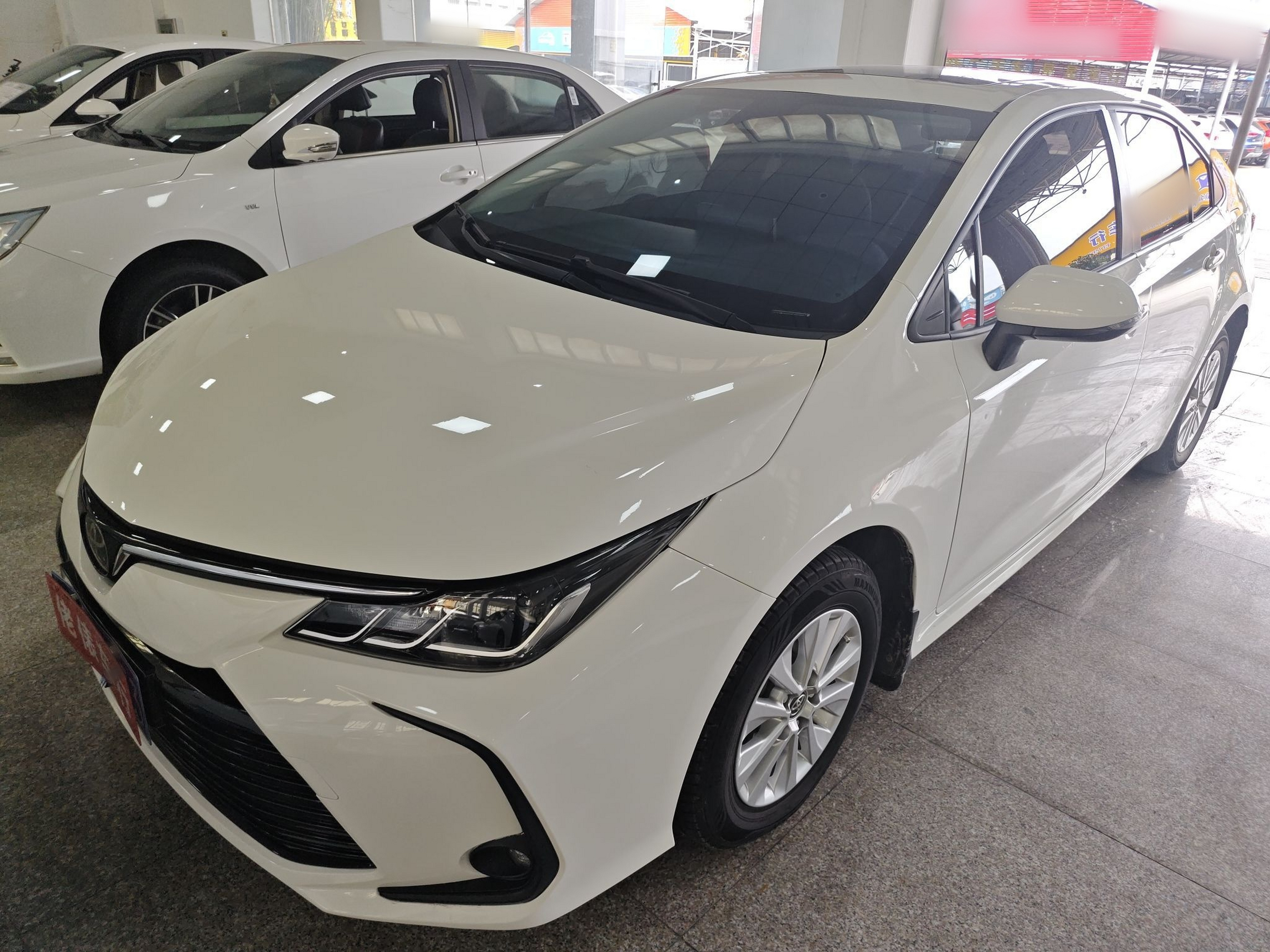 Parte inferior delantera