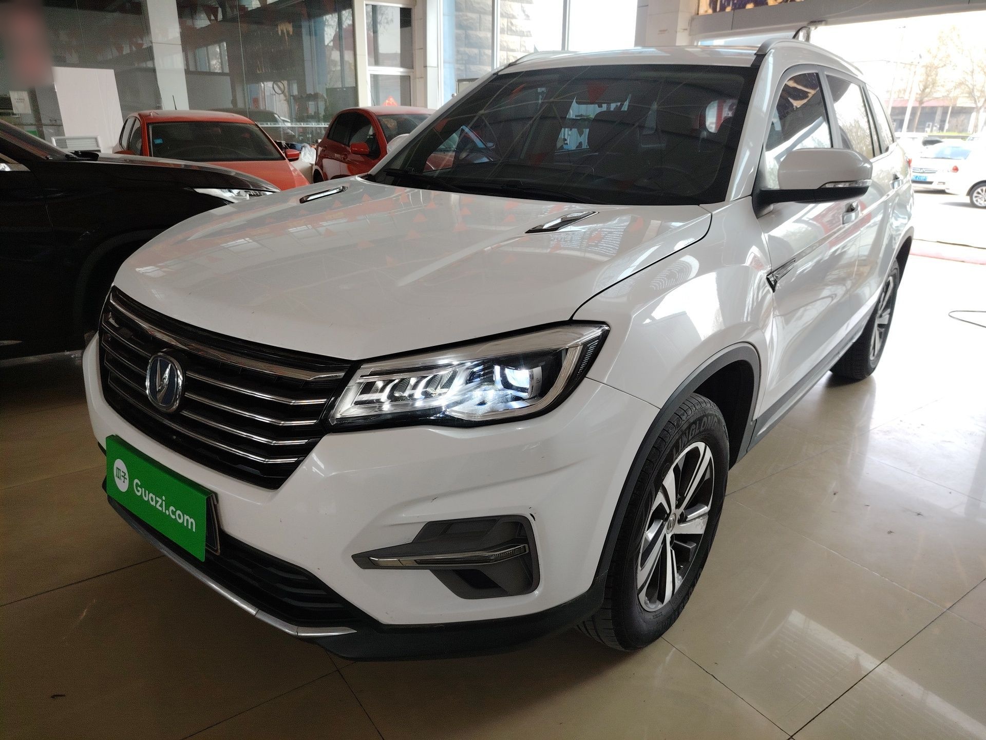 Parte inferior delantera