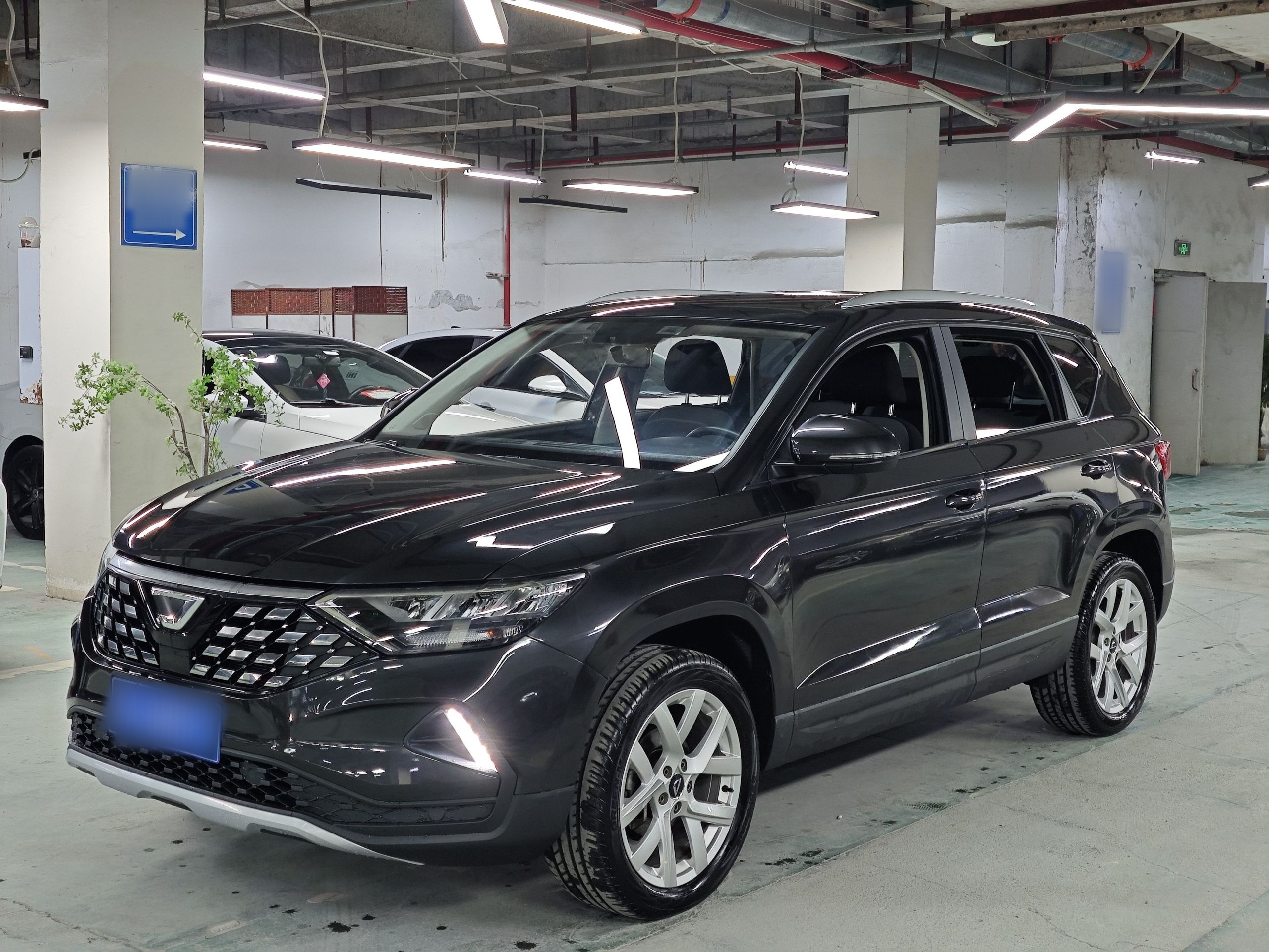 Parte inferior delantera