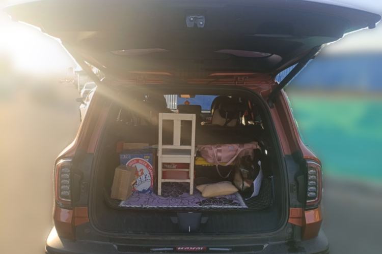 Used Haval DARGO 2021 2.0T DCT 4x4 Chinese Rural Dog Edition