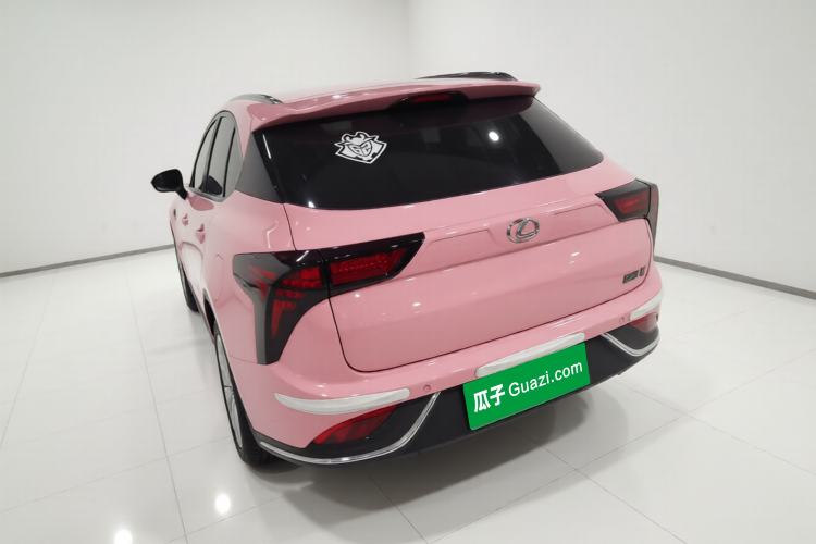 Used NETA V 2022 Chao 400 Lite Pink Custom Edition
