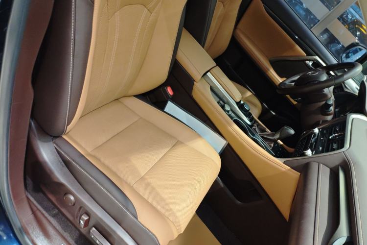 Used Lexus RX 2016 300 Two-Wheel Drive Comfort Edition China V Standard