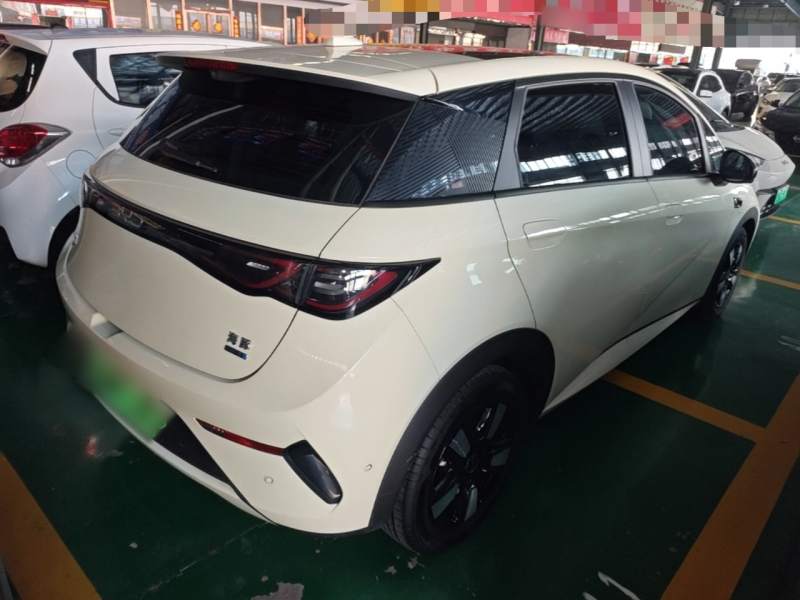 Used BYD Dolphin 2025 Intelligent Driving Version 410 km Fashion Edition — 6