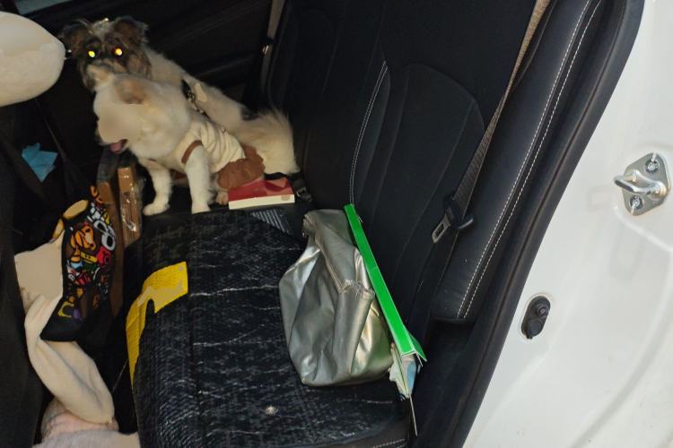 Used Geely Auto Vision X3 2019 Upgraded Model 1.5L CVT Elite Version