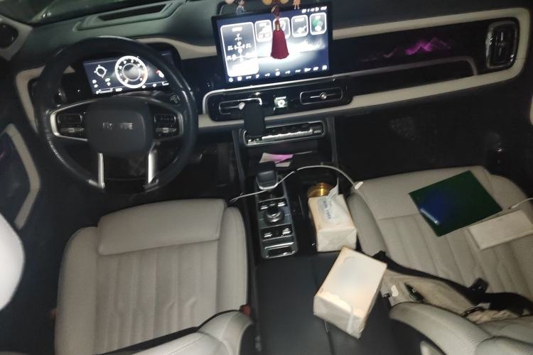 Used BAIC Off-Road BJ60 2022 2.0T Version 11 Five Seats
